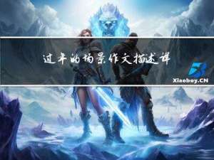 过年的场景作文描述详细