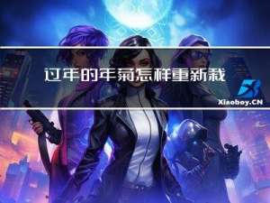 过年的年菊怎样重新栽种