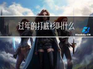 过年的打底衫叫什么