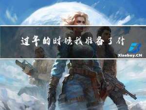过年的时候我准备了什么