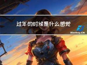 过年的时候是什么感觉日记