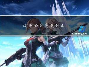 过年的月亮是什么