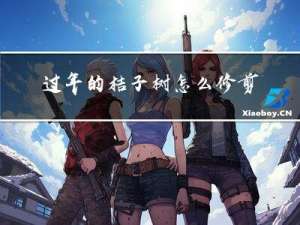 过年的桔子树怎么修剪枝条