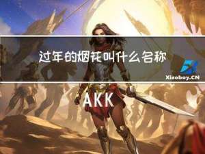 过年的烟花叫什么名称
