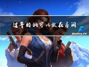 过年的狗可以放在房间吗