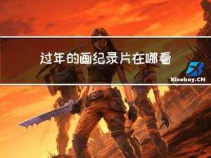 过年的画纪录片在哪看