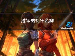 过年的花什么柳