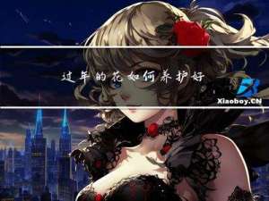 过年的花如何养护好