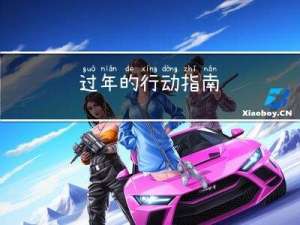 过年的行动指南