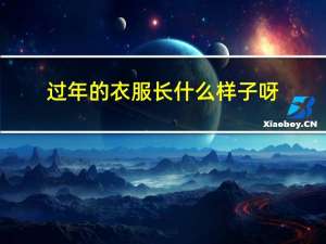 过年的衣服长什么样子呀