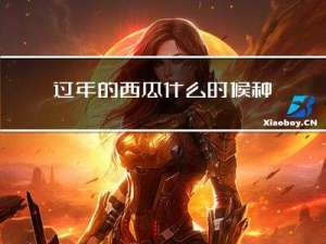 过年的西瓜什么时候种植