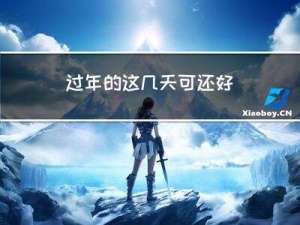 过年的这几天可还好