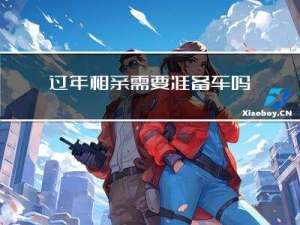 过年相亲需要准备车吗女