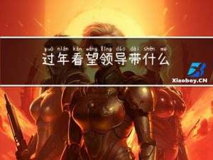 过年看望领导带什么