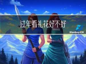 过年看礼花好不好