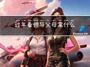 过年看领导父母拿什么礼品