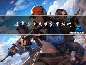 过年石头放在家里好吗
