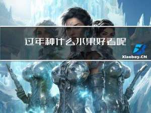 过年种什么水果好看呢