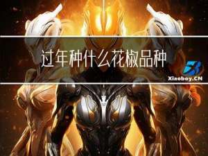 过年种什么花椒品种