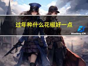 过年种什么花椒好一点