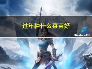 过年种什么菜苗好