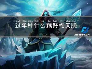 过年种什么藕好吃又脆