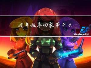 过年租车回家带什么