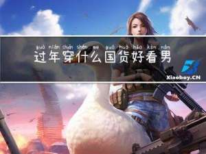 过年穿什么国货好看男
