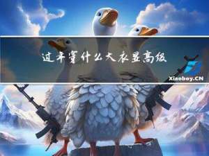 过年穿什么大衣显高级