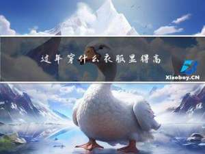 过年穿什么衣服显得高档