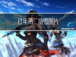 过年第二场雪图片