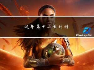 过年第十二天计划