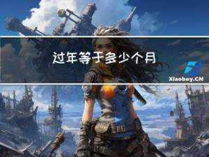 过年等于多少个月