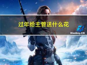 过年给主管送什么花