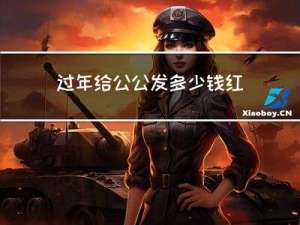 过年给公公发多少钱红包