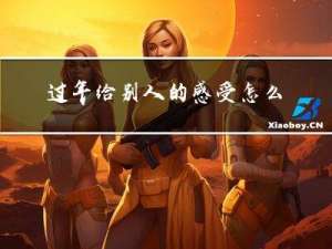 过年给别人的感受怎么写