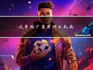 过年给厂里发什么礼品