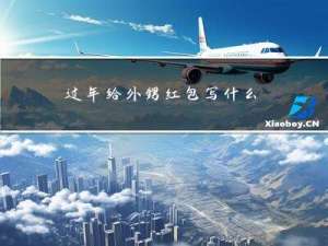 过年给外甥红包写什么