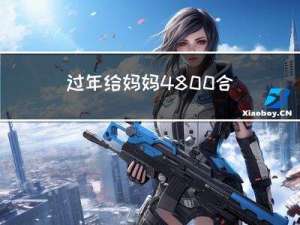 过年给妈妈4800合适吗