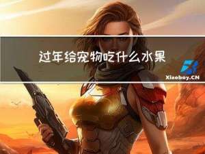 过年给宠物吃什么水果