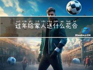 过年给家人送什么花合适