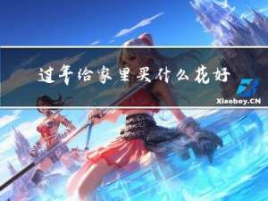 过年给家里买什么花好看