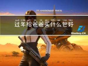 过年给爸爸买什么包好看