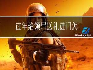 过年给领导送礼进门怎么说