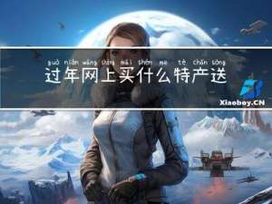 过年网上买什么特产送礼