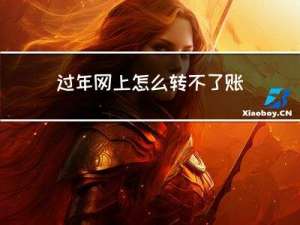 过年网上怎么转不了账