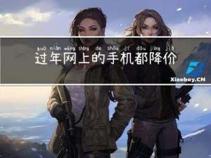 过年网上的手机都降价吗