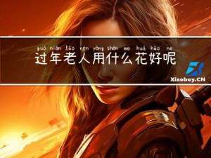 过年老人用什么花好呢