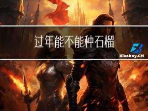 过年能不能种石榴