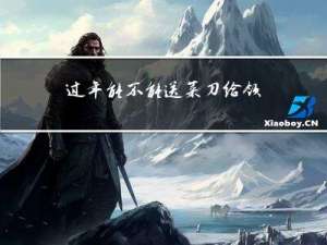 过年能不能送菜刀给领导